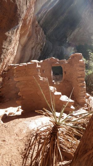 Ruins Bathed in Light